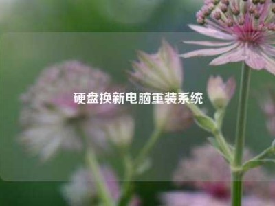 硬盘换新电脑重装系统