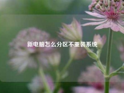 新电脑怎么分区不重装系统