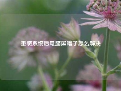 重装系统后电脑屏暗了怎么解决