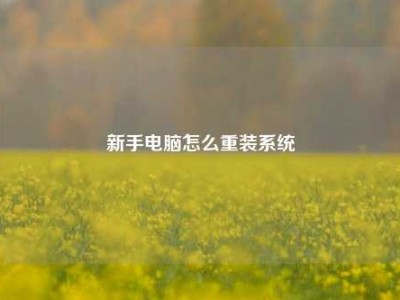 新手电脑怎么重装系统