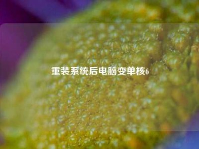 重装系统后电脑变单核6