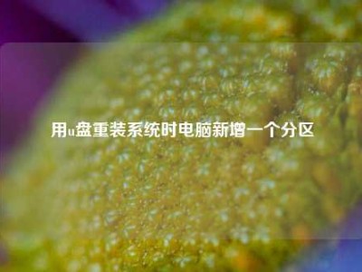 用u盘重装系统时电脑新增一个分区