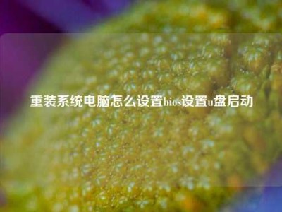 重装系统电脑怎么设置bios设置u盘启动