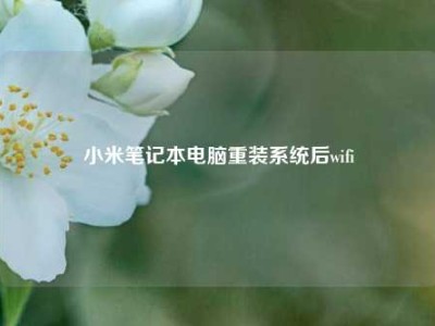 小米笔记本电脑重装系统后wifi