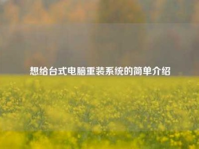 想给台式电脑重装系统的简单介绍