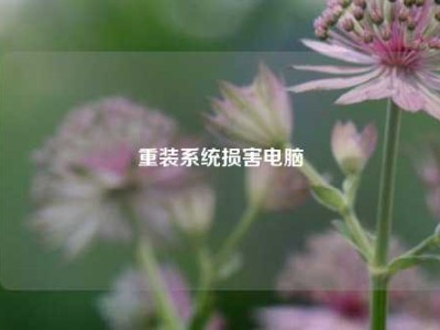 重装系统损害电脑