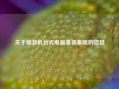 关于组装机台式电脑重装系统的信息