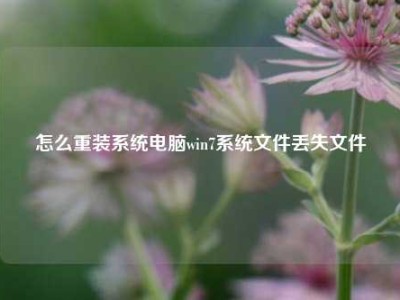 怎么重装系统电脑win7系统文件丢失文件