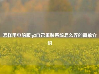 怎样用电脑版sp3自己重装系统怎么弄的简单介绍