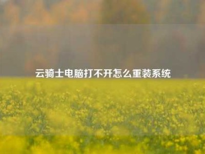 云骑士电脑打不开怎么重装系统