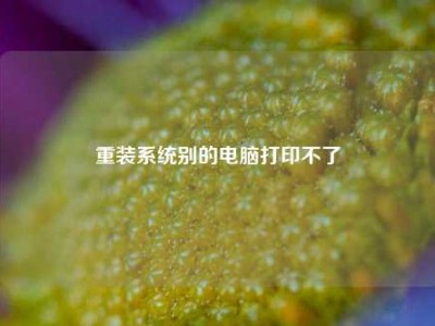 重装系统别的电脑打印不了