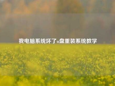 我电脑系统坏了u盘重装系统教学