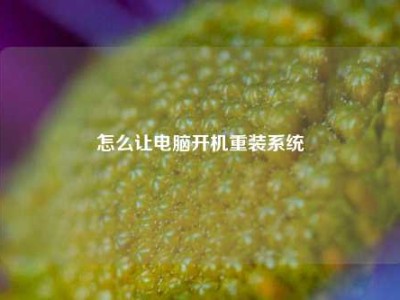 怎么让电脑开机重装系统