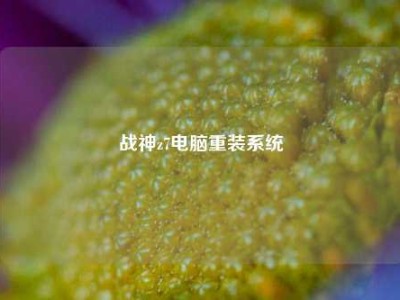 战神z7电脑重装系统