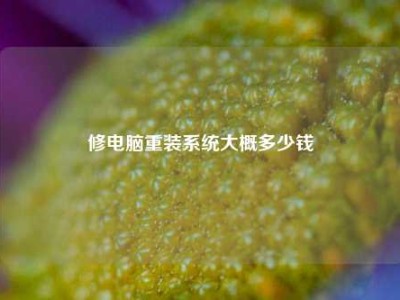 修电脑重装系统大概多少钱