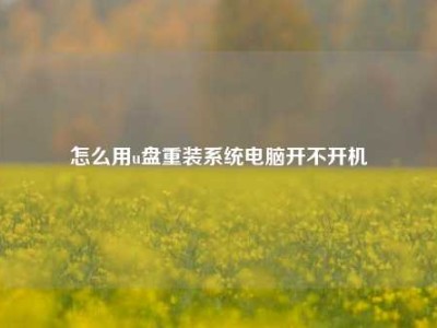 怎么用u盘重装系统电脑开不开机