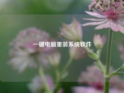 一键电脑重装系统软件