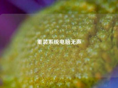 重装系统电脑无声