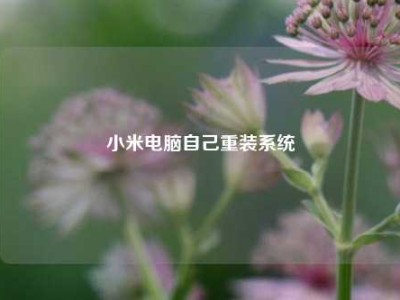 小米电脑自己重装系统