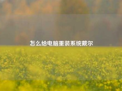 怎么给电脑重装系统戴尔