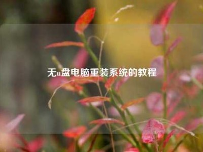 无u盘电脑重装系统的教程