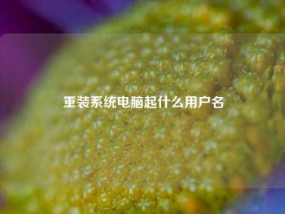 重装系统电脑起什么用户名