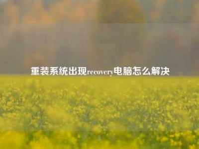 重装系统出现recovery电脑怎么解决