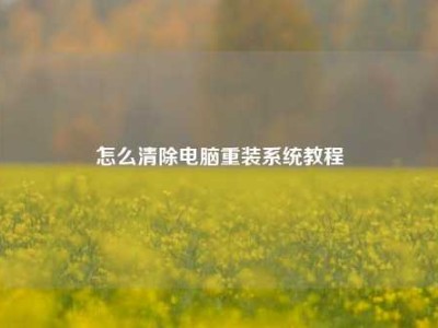 怎么清除电脑重装系统教程