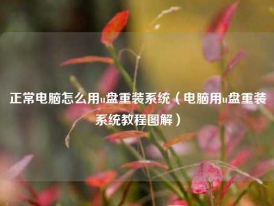 正常电脑怎么用u盘重装系统（电脑用u盘重装系统教程图解）