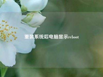 重装系统后电脑显示reboot