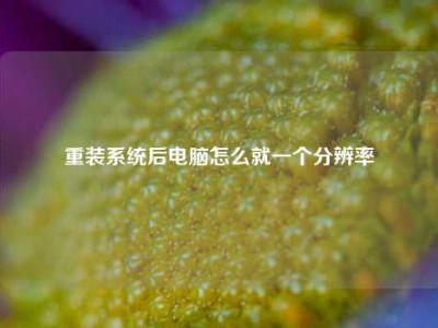 重装系统后电脑怎么就一个分辨率