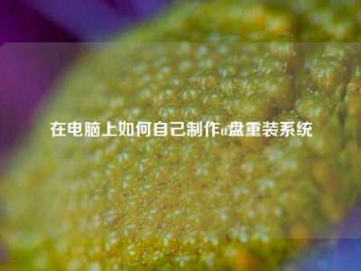 在电脑上如何自己制作u盘重装系统