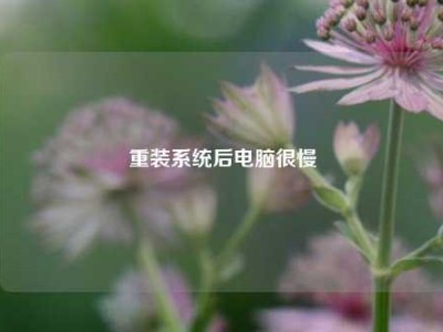 重装系统后电脑很慢