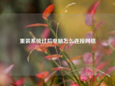 重装系统过后电脑怎么连接网络