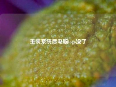 重装系统后电脑logo没了