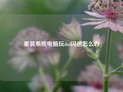 重装系统电脑玩dnf闪退怎么办