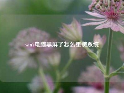 win7电脑黑屏了怎么重装系统