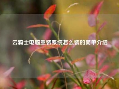 云骑士电脑重装系统怎么装的简单介绍