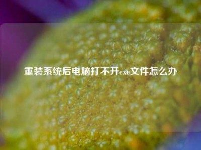 重装系统后电脑打不开exe文件怎么办