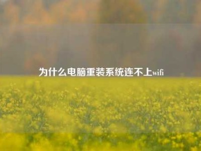 为什么电脑重装系统连不上wifi