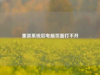 重装系统后电脑页面打不开