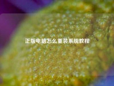 正版电脑怎么重装系统教程