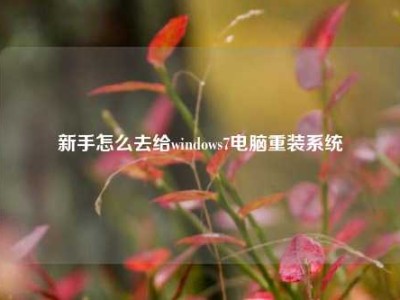 新手怎么去给windows7电脑重装系统