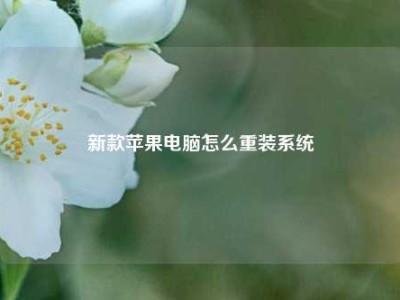 新款苹果电脑怎么重装系统