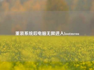 重装系统后电脑无限进入bootmenu