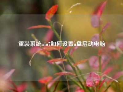 重装系统win7如何设置u盘启动电脑