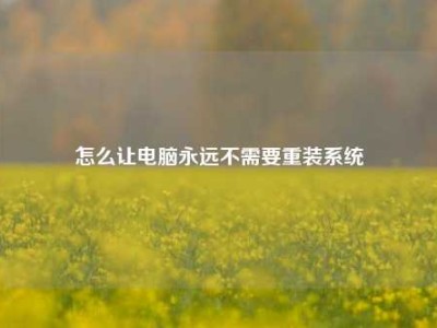 怎么让电脑永远不需要重装系统