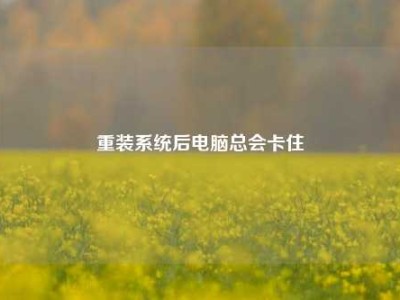 重装系统后电脑总会卡住