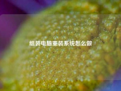 组装电脑重装系统怎么做