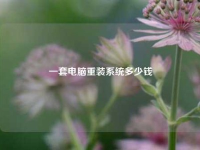 一套电脑重装系统多少钱